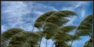 Sebagian Wilayah di Riau Berpotensi Dilanda Hujan Lebat, Angin Kencang & Petir